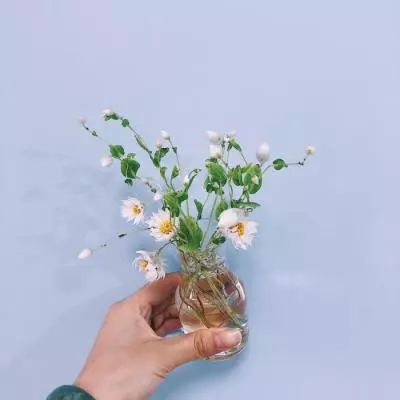 英雄训练师内购破解版下载