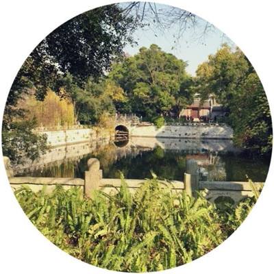 暴走萌星人手游下载